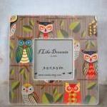 Owl Frame