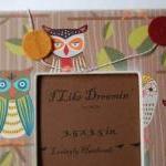 Owl Frame