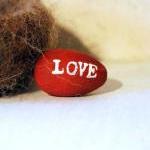Love Nest - Love, Kiss, XOX..
